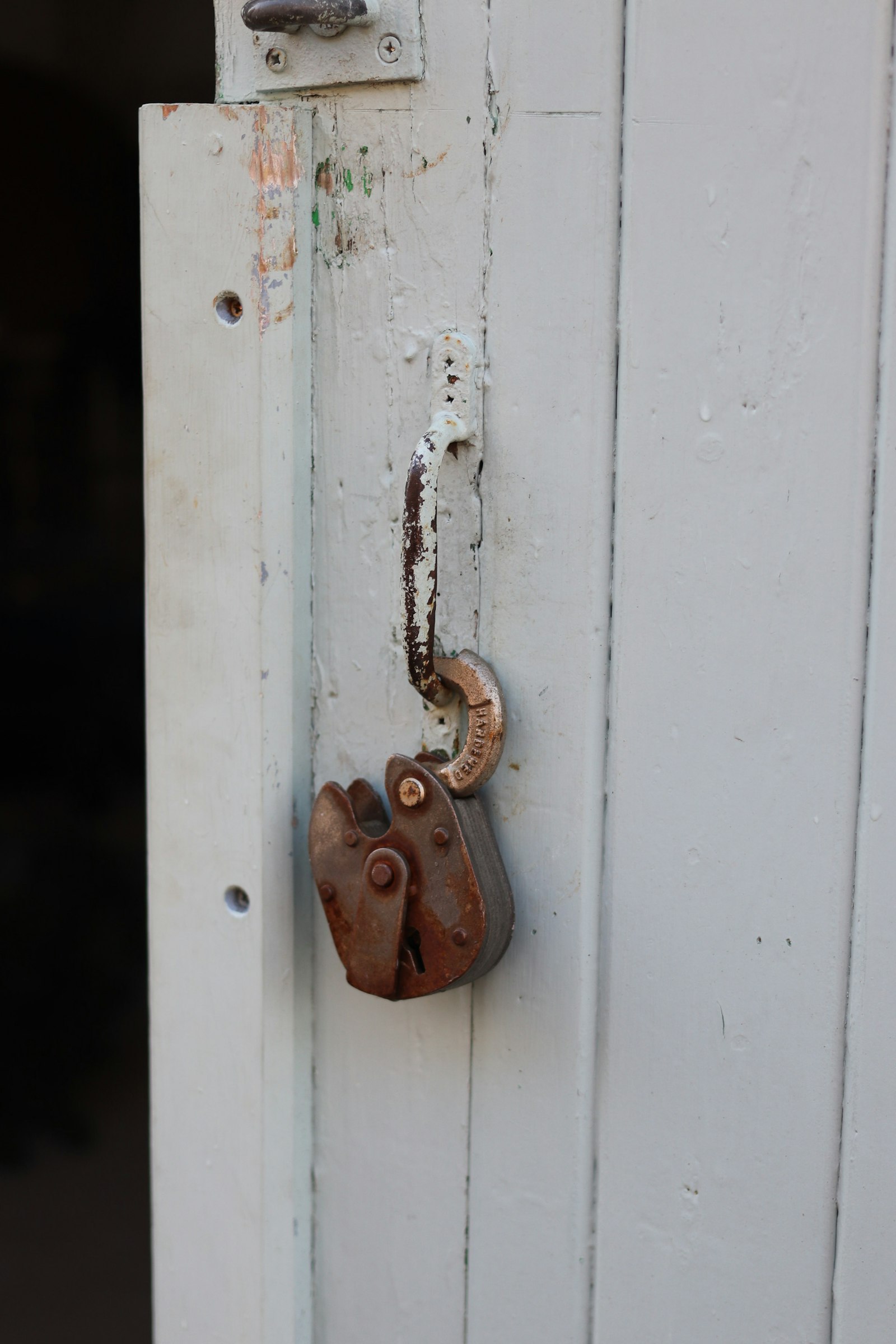 Photo by Tanya Barrow on Unsplash